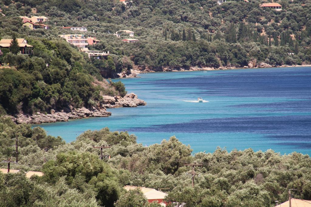 Villa Artemis Barbati Bagian luar foto