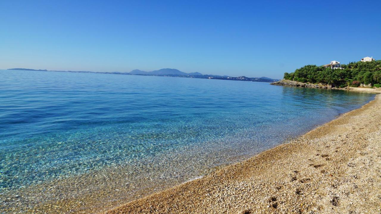 Villa Artemis Barbati Bagian luar foto