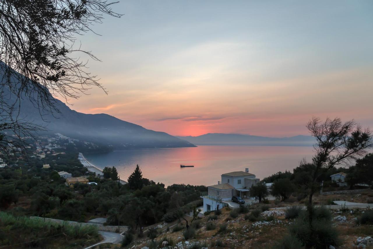 Villa Artemis Barbati Bagian luar foto