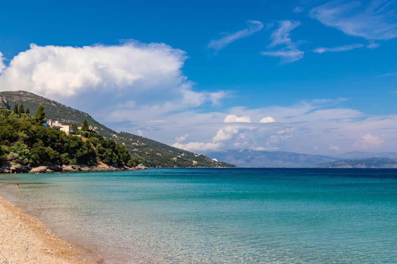Villa Artemis Barbati Bagian luar foto